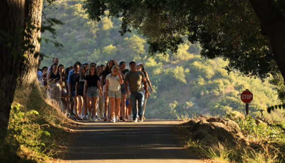 Rosary Walk