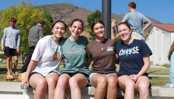 Volleyball 