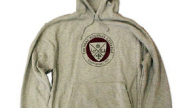 Image of youth hooded sweatshirt main