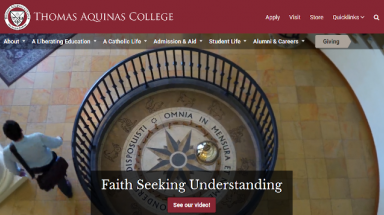 Screenshot of new TAC homepage