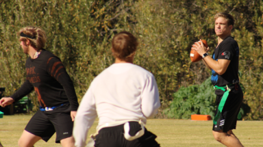 Quarterback about to throw