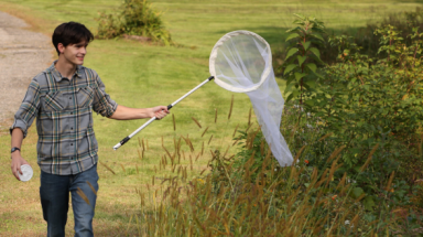 A freshman looks for bugs