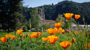 New England campus in spring