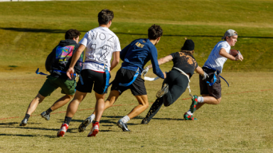 The turkey bowl