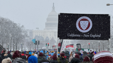 The march for life, 2024