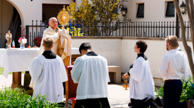 Divine Mercy Sunday CA