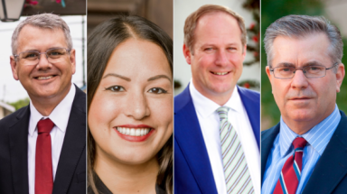 Webinar panelists