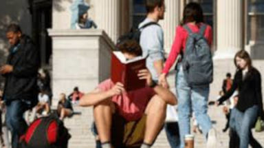 Students reading
