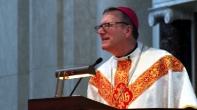 Bishop Barron Homily 2016