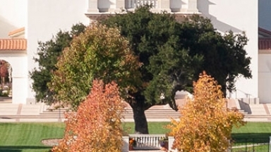 Oak tree on the California quadrangle
