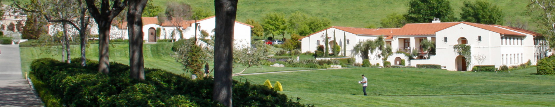 Residential hillside on the California campus
