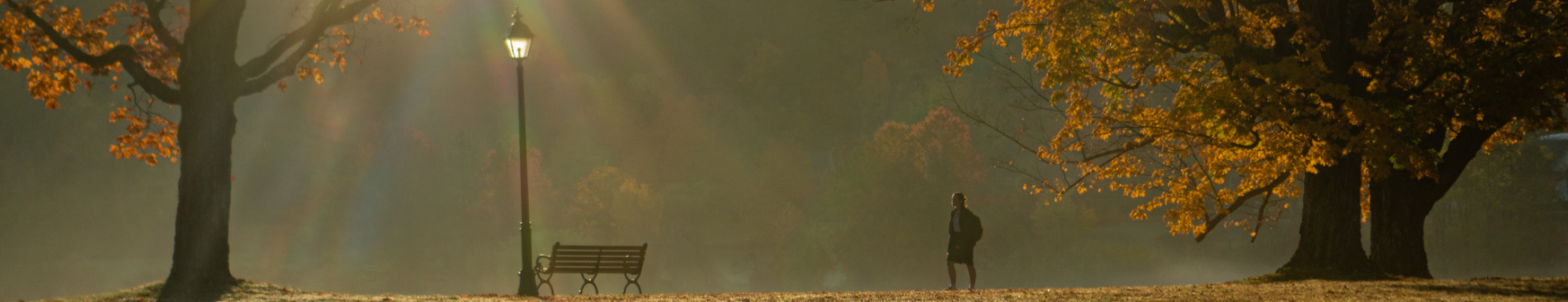 Student reads on a bench