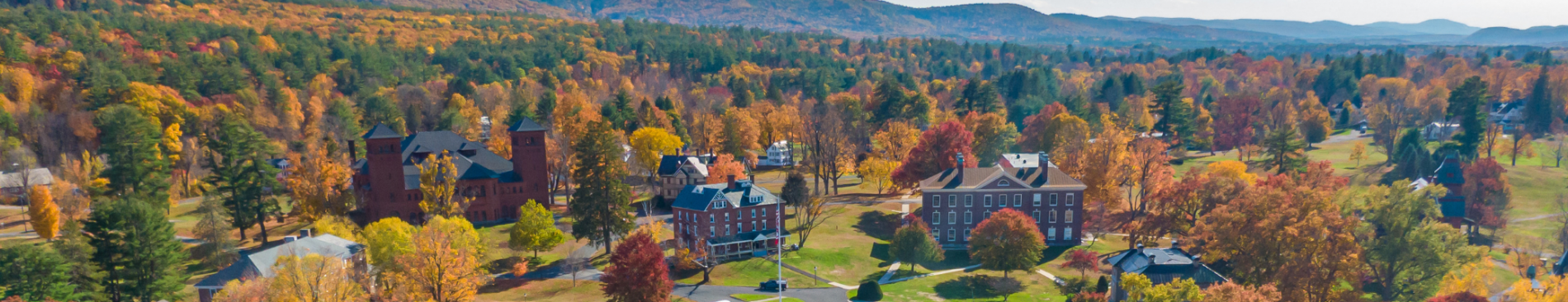 aerial view of foliage on New England campus