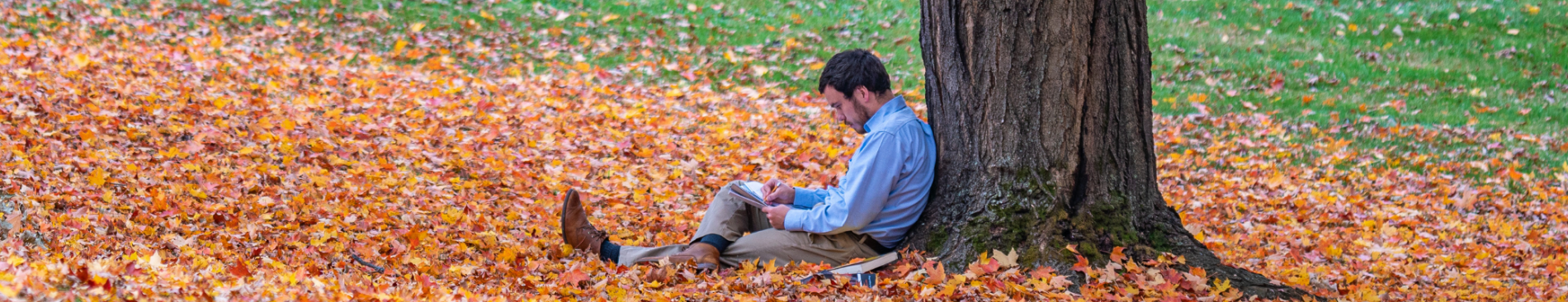 Student reads under a tree