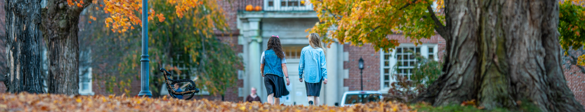 Students walk on a leafy path