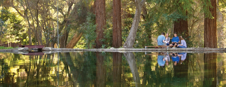 Four people sitting by a pond surrounded by trees