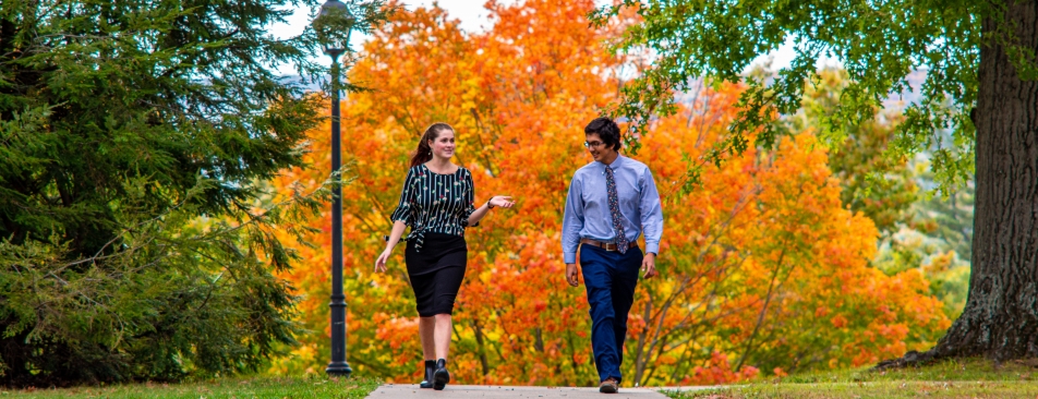 Two people walking down a cement path with a big orange tree in the background