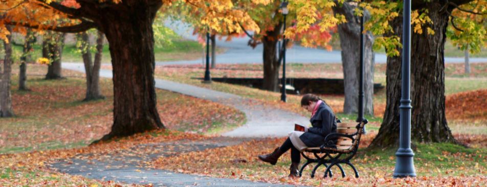 Student reads on a bench