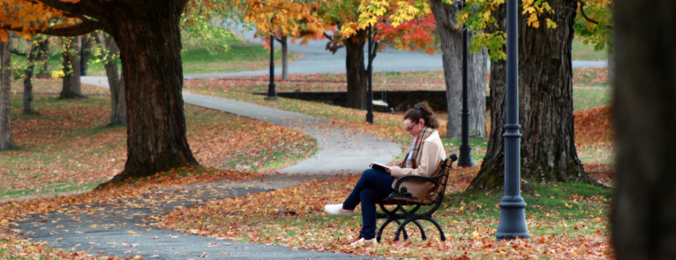 Student reads on a bench