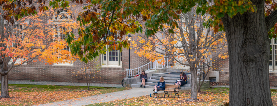 Students read in New England campus