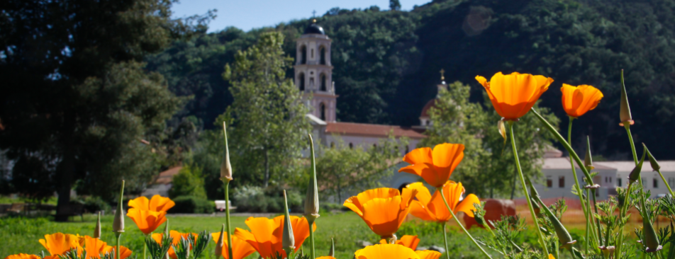 California Chapel and campus in spring
