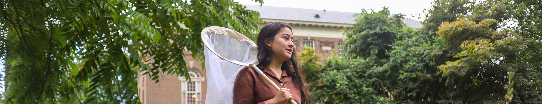 A freshman with a net hunts for bugs