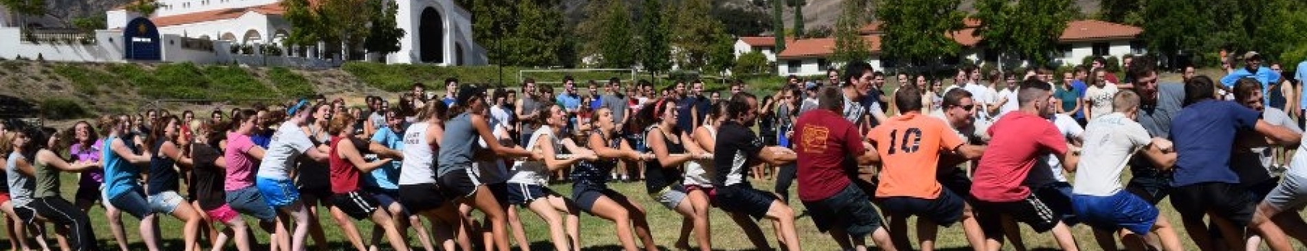 Slideshow: The 2015 All-College Picnic