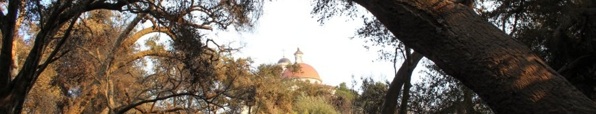 Dan Murphy Foundation Awards College Thomas Fire Recovery Gr