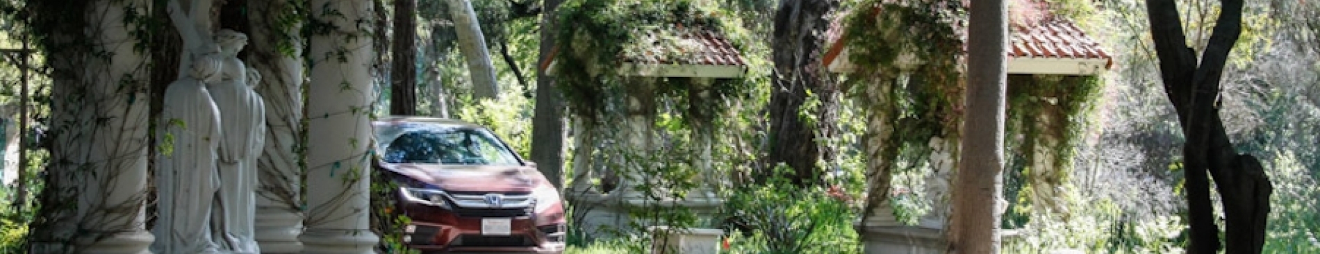 Photos & Video: “Drive-Through Stations” and Palm Sunday Mas