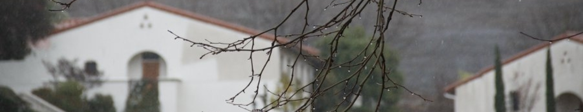 Slideshow: Rain at Last!