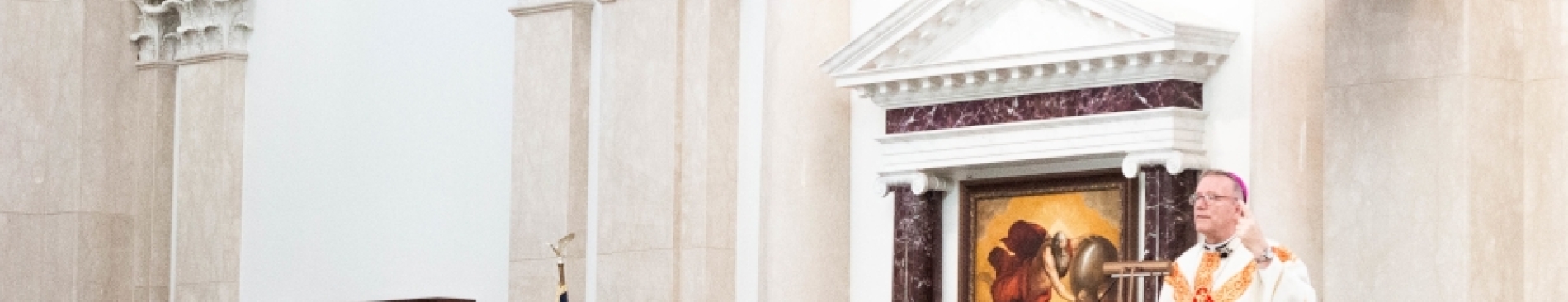 Photos & Video: Bishop Barron