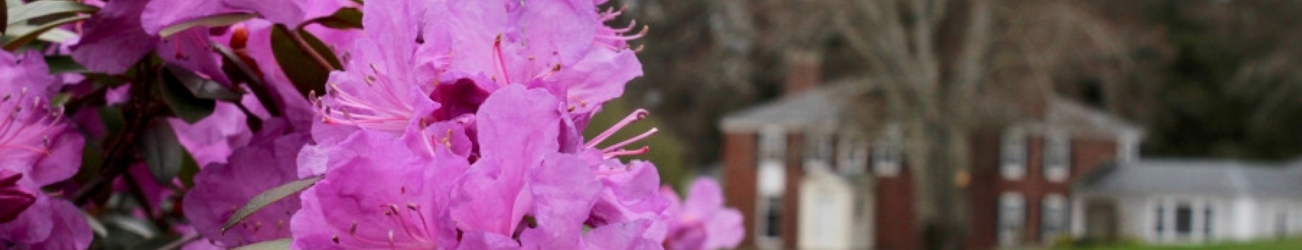 Slideshow: Spring on the New England Campus — for now